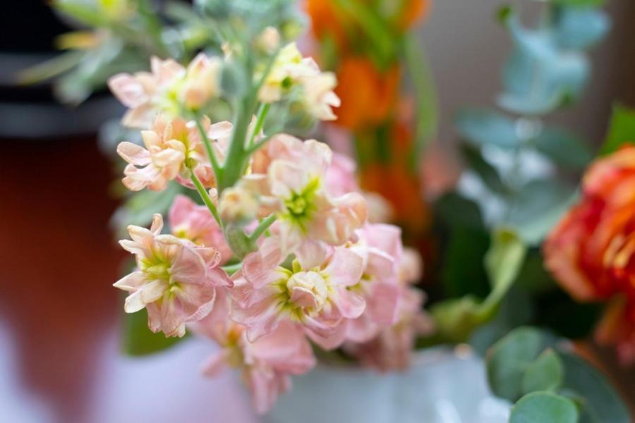 Hotellerie Het Wapen Van Athlone De Steeg エクステリア 写真